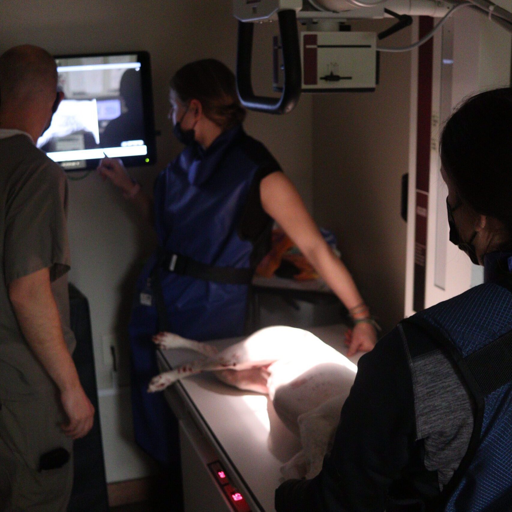RADIOLOGY RADIOLOGY